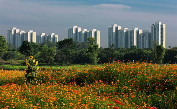 More regulations for developing green cities and climate-resilient urban areas in Vietnam