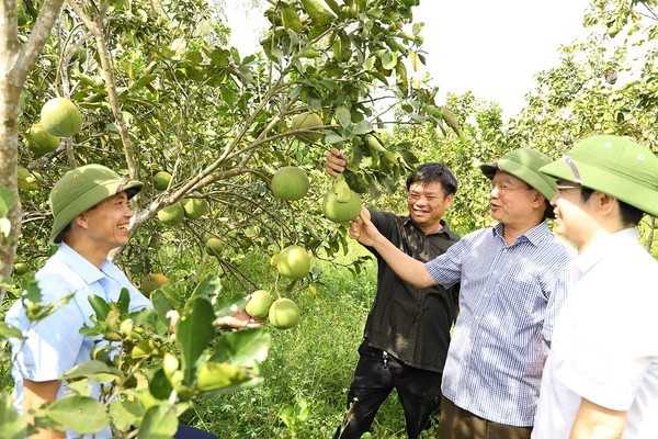 Thanh Chương dự kiến có 20 xã về đích nông thôn mới vào cuối năm