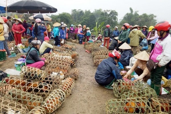 Đầu tư 446 tỷ đồng phát triển thương mại vùng miền núi, hải đảo