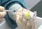 Vietnam on track to make Covid-19 vaccine