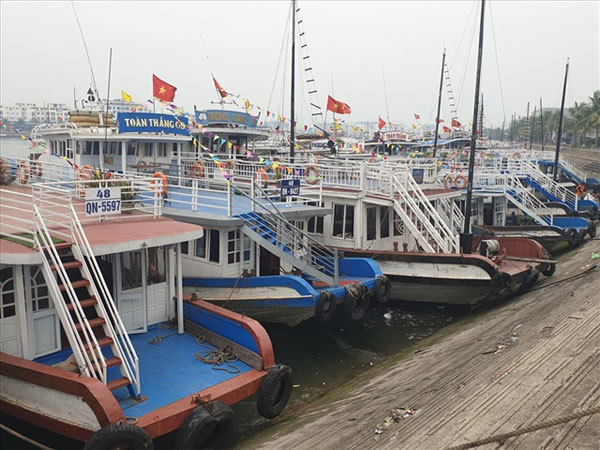 Cruise ship owners in Quang Ninh request halt to operations