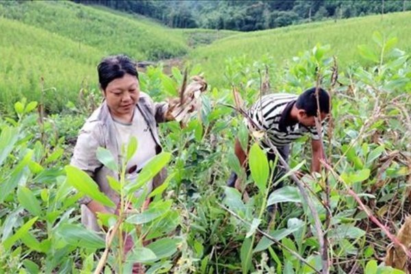 Quảng Ninh: Nhiều bà con vùng DTTS nhiều hộ dân tự nguyện viết đơn xin thoát nghèo