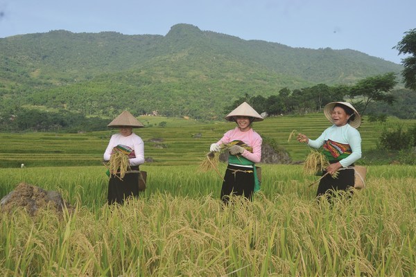 Thanh Hóa: Tốc độ giảm nghèo ở các huyện miền núi cao hơn 1,7 lần bình quân