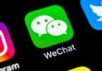 Lệnh cấm WeChat sẽ đảo lộn ngành công nghiệp công nghệ thế nào?