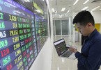 VN stock market grows rapidly in last 20 years