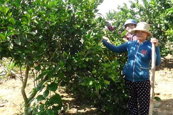 Khánh Hòa đẩy mạnh tuyên truyền khơi dậy ý chí chủ động vươn lên của người nghèo