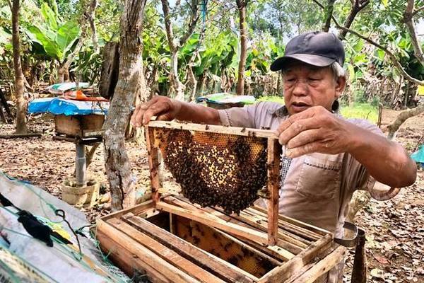 Huyện Quảng Ninh: Kịp thời 