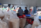 VN cashew industry in distress as demand falls