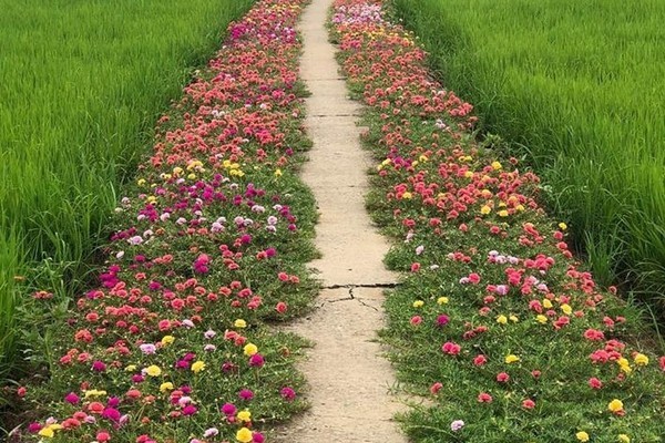 Tôi tập sống thử với… con chồng