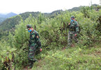 Border guards contribute to COVID-19 fight