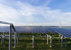 Solar power investors fear they may not be able to enjoy preferential FIT