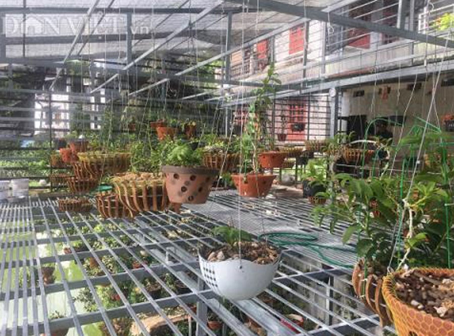 Vỡ bong bóng phi điệp đột biến: Gạ người thân tiền tỷ