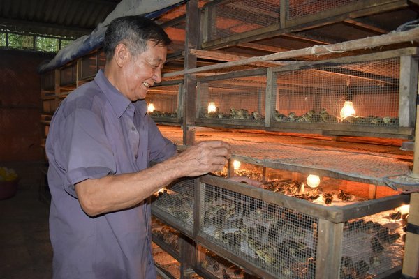 Phong trào thi đua “Cựu chiến binh giúp nhau giảm nghèo, làm kinh tế giỏi”