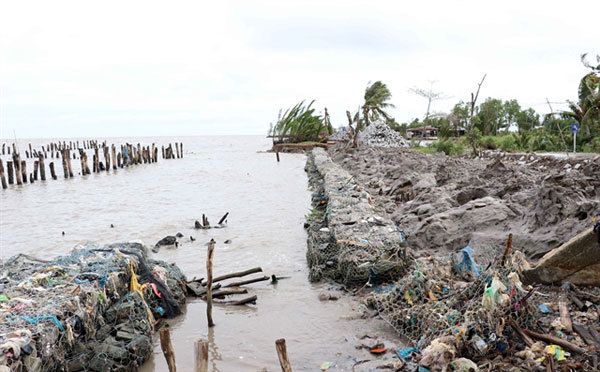 Western sea dyke needs urgent protection
