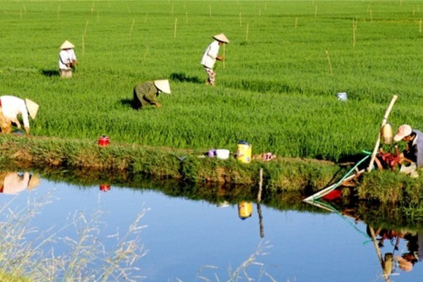 Bạc Liêu: Đẩy mạnh xây dựng các chuỗi liên kết làm điểm tựa thoát nghèo vươn lên khá giả