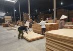 Vietnam’s woodworks prepare for FLEGT licensing