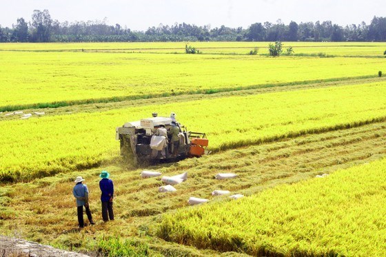 VIETNAM'S BUSINESS NEWS HEADLINES AUGUST 22