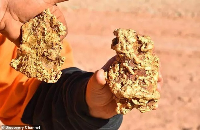 Hai anh em săn kho báu đào được 2 cục vàng trị giá 8 tỷ đồng
