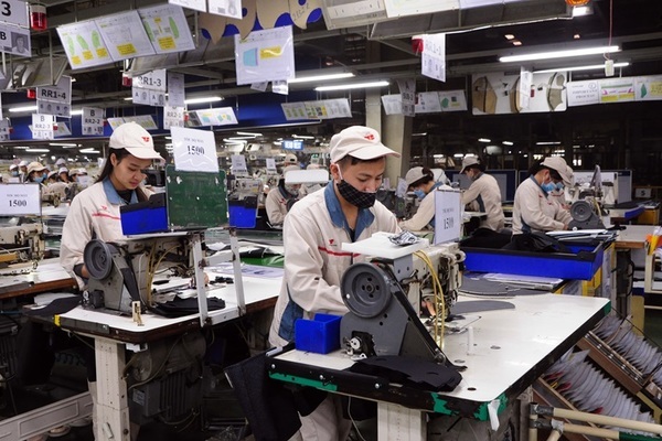 Tranh thủ khoảng thời gian “vàng” đến từ việc sớm ký kết FTA với EU