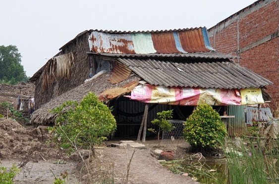 Cà Mau: 5 năm qua, công tác giảm nghèo đạt và vượt so với chỉ tiêu kế hoạch