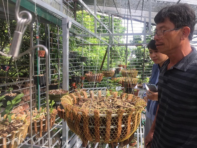 Những cú lừa khiến nạn nhân khánh kiệt trong cơn sốt lan 'đột biến' tiền tỷ