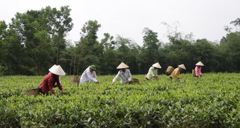 Lương Sơn: Tỷ lệ hộ nghèo giảm vượt chỉ tiêu đề ra