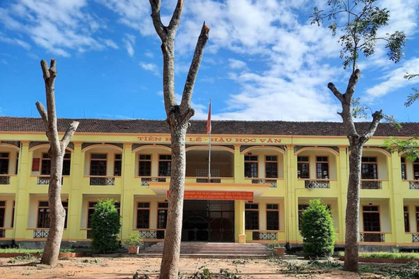 Trường cấp 2 ở Nghệ An chặt trụi hàng loạt cây xanh