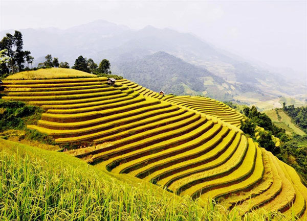 Lai Chau develops community tourism