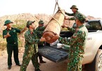 Quang Ninh: 450-kilo bomb unearthed