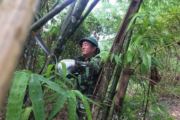 Lính biên phòng chặt tre dựng lán, chốt chặn biên giới chống dịch