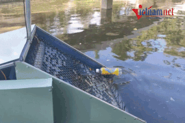 Hệ thống nhặt rác biển thông minh của sinh viên Đà Nẵng