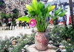 'Mẹ có phải là một người mẹ tồi?'