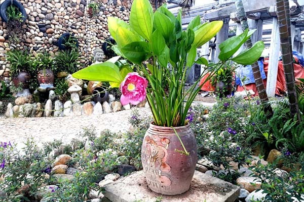 'Mẹ có phải là một người mẹ tồi?'