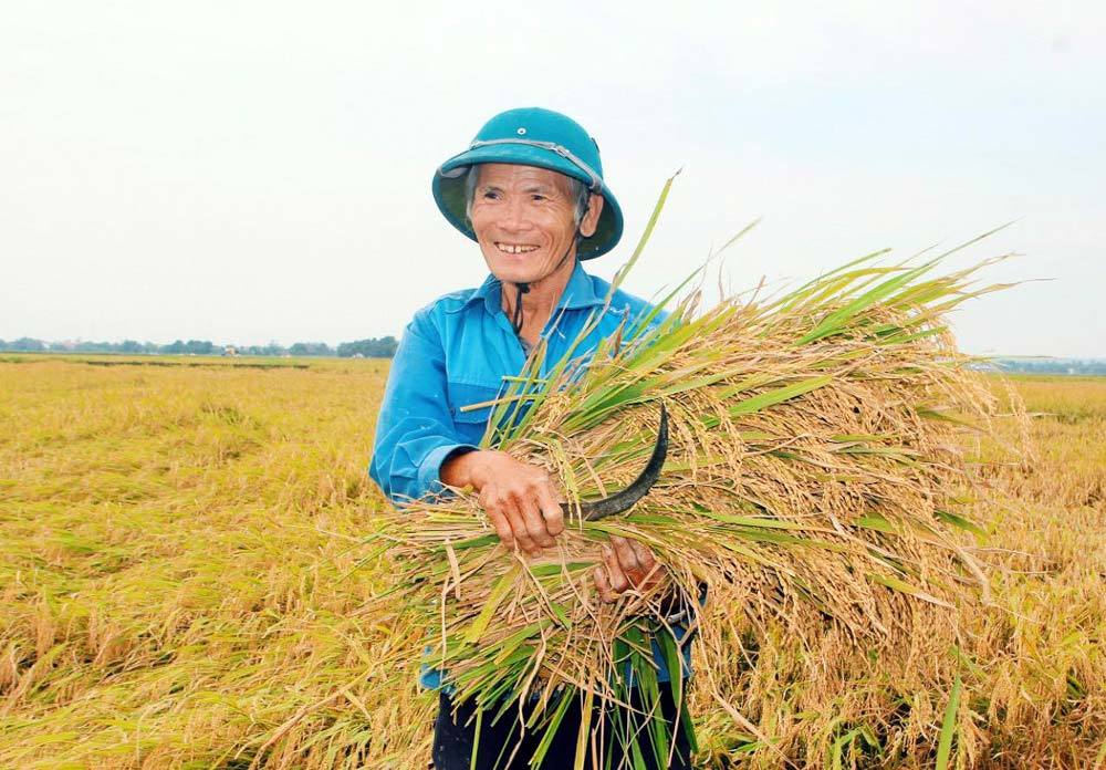 Phải vượt lên trên trước chứ không đi theo, đi sau