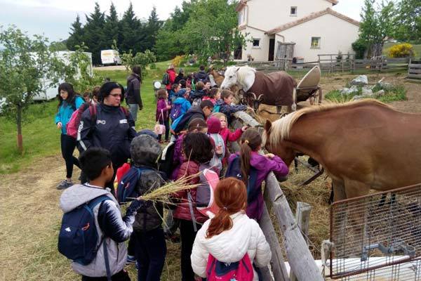 Còn gì hơn khi giáo dục đổi thay, con mình được coi là trung tâm