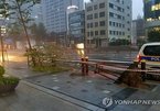 Hình ảnh bão Haishen đổ bộ vào Hàn Quốc