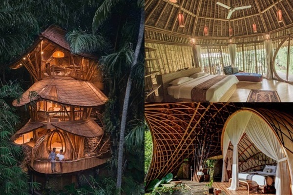 Trải nghiệm thiên nhiên tuyệt vời với ngôi nhà trên cây giữa rừng tre