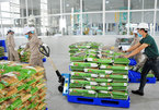 Vietnamese rice takes bite out of global market