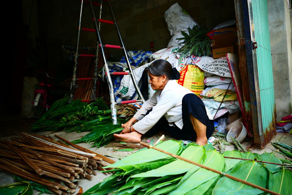 Những người vượt hiểm nguy đi tìm 'lộc trời' trong rừng