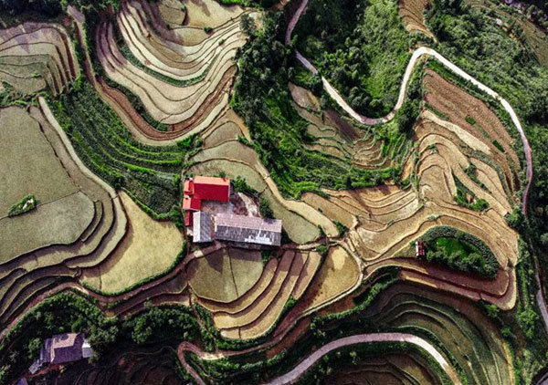 Life on Tay Con Linh Mountain