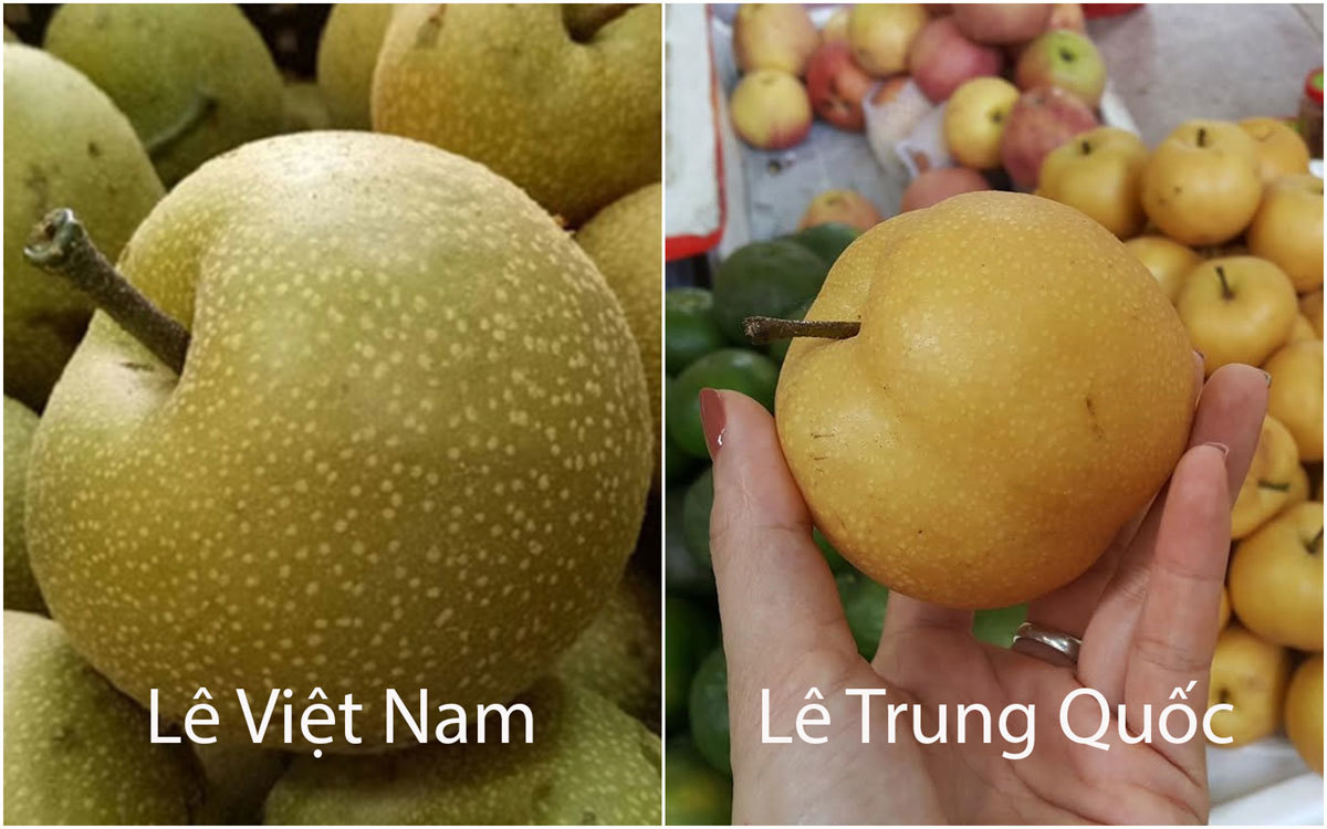 Mẹo đơn giản phân biệt lê Việt Nam và lê Trung Quốc chỉ qua mắt thường