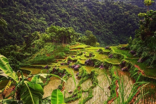 Tập trung lan tỏa hình ảnh “Thanh Hóa - điểm đến an toàn”