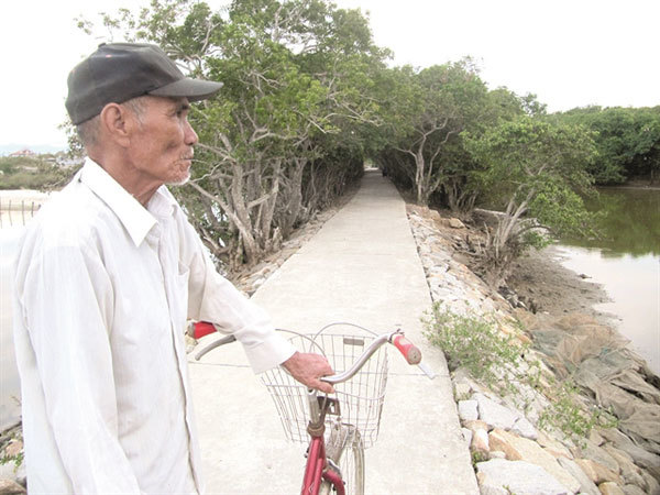 Ru Cha offers wetland wonderland for visitors