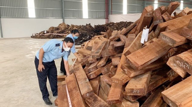 Phát hiện lô gỗ quý 'khủng' nhập lậu từ Nigeria vào Việt Nam