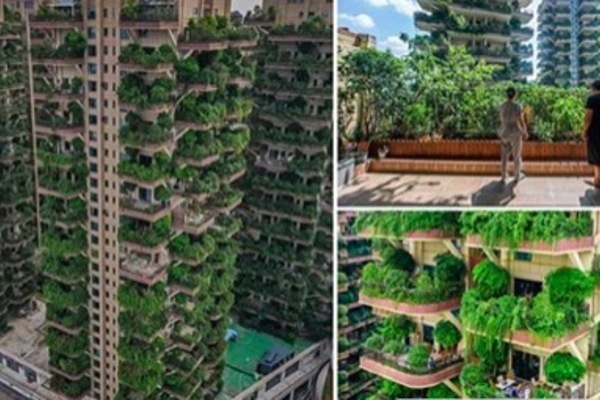 Lý do 'thiên đường đáng sống' ở Trung Quốc hóa 'thành phố ma'