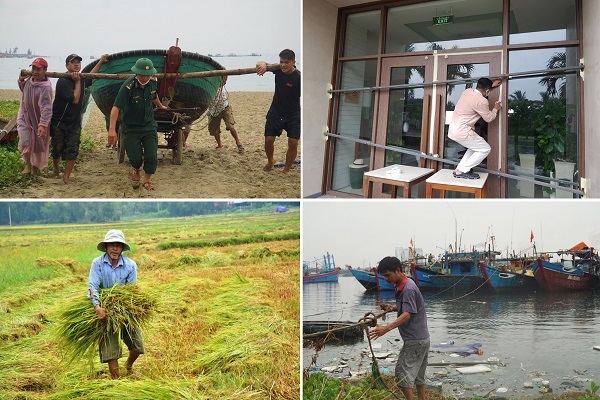 Đà Nẵng, Quảng Nam gấp rút gặt lúa, chèn chống nhà tránh bão số 5