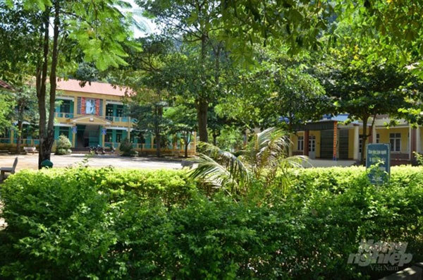 Man donates family cemetery land to build school