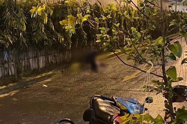 Cô gái trẻ rơi từ tầng cao chung cư ở Sài Gòn tử vong