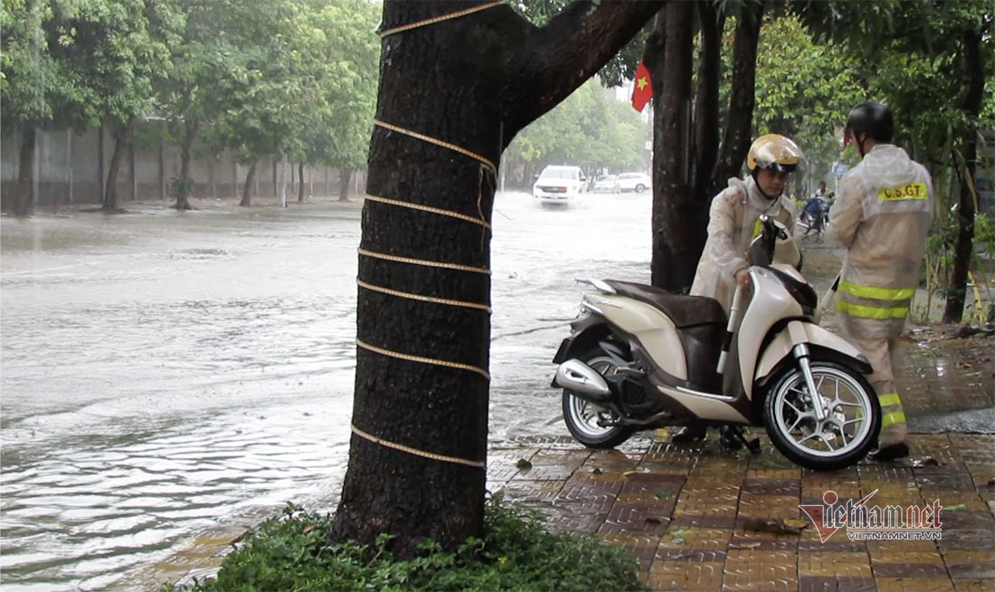 Bão vào đất liền, cây đổ ngổn ngang, nhà tốc mái cả loạt ở miền Trung