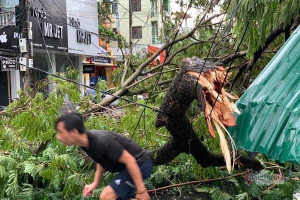 Bão vào đất liền, cây đổ ngổn ngang, nhà tốc mái cả loạt ở miền Trung